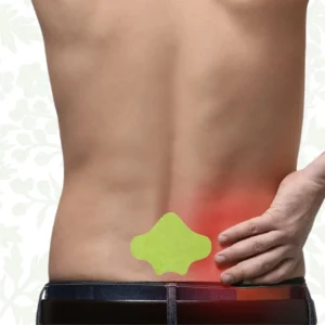 Alisanda - Natural Back Pain Patches