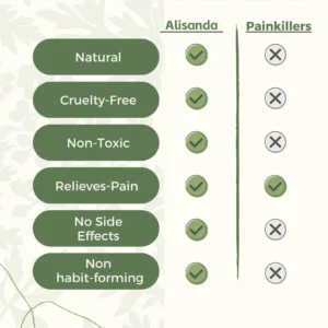 Alisanda - Natural Back Pain Patches