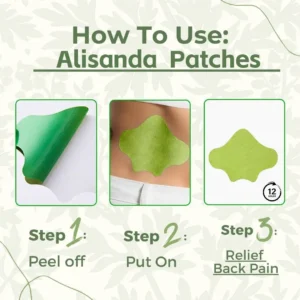 Alisanda - Natural Back Pain Patches