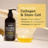 Alisanda®Collagen-Infused Body Oil • Deep Hydration + Firming Feel