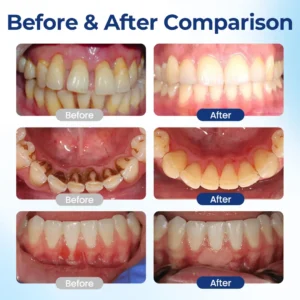 Alisanda® BeeTakt Oral Repair Solution