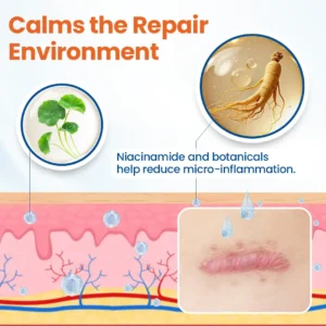 Alisanda® DermalRebuild Daily Renewal Gel