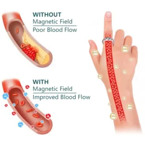 💥Last Day Promotion 80% OFF - 🔥Alisanda Magnetology Moissanite Diamond Ring💖