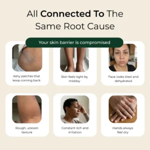 Pure Nilotica Shea Butter by Alisanda®