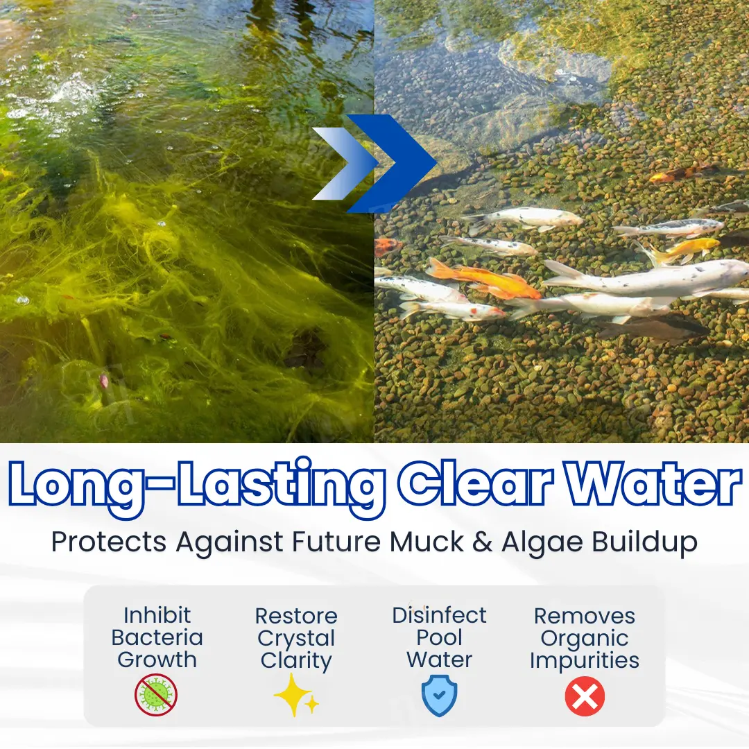 🔥Last Day 50% OFF Alisanda® ClearWater Rescue Formula🐟 From Swampy Green to Crystal Clear – Without the Chemicals