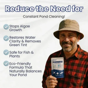 🔥Last Day 50% OFF Alisanda® ClearWater Rescue Formula🐟 From Swampy Green to Crystal Clear – Without the Chemicals