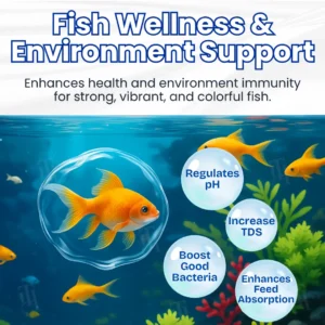 🔥Last Day 50% OFF Alisanda® ClearWater Rescue Formula🐟 From Swampy Green to Crystal Clear – Without the Chemicals
