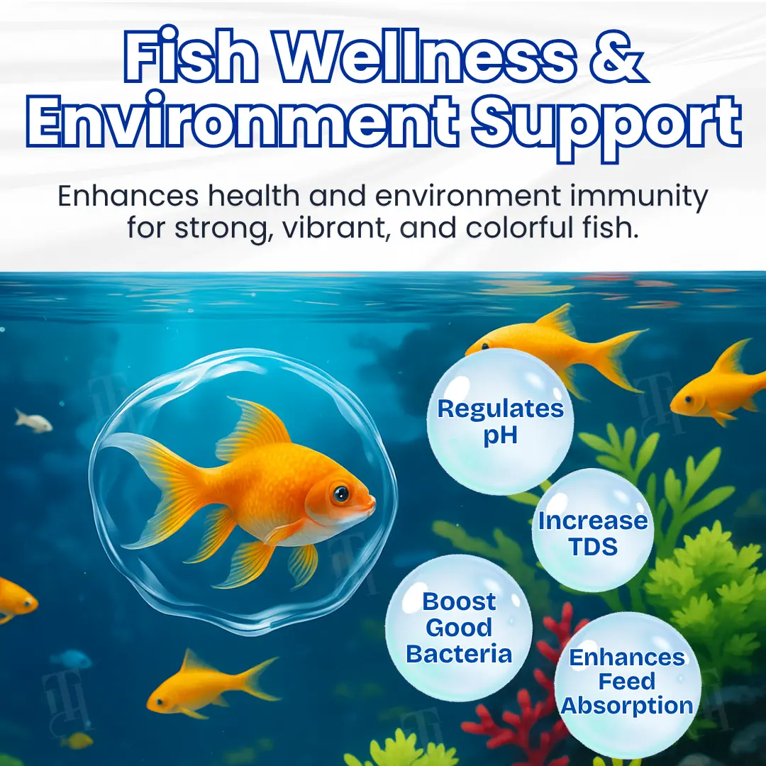 🔥Last Day 50% OFF Alisanda® ClearWater Rescue Formula🐟 From Swampy Green to Crystal Clear – Without the Chemicals